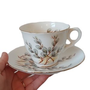 Royal Stafford Teacup and Saucer Set- Pussy Willow